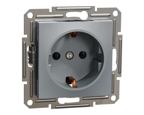 Розетка Schneider Electric ASFORA сталь (EPH2900162)