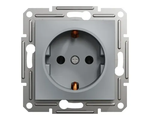 Розетка Schneider Electric ASFORA сталь (EPH2900162)