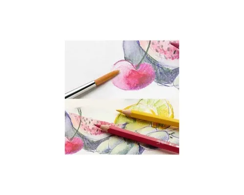 Олівці кольорові Faber-Castell акварельні, 36 кольорів зі стругачкою та пензликом 114437 (25451)