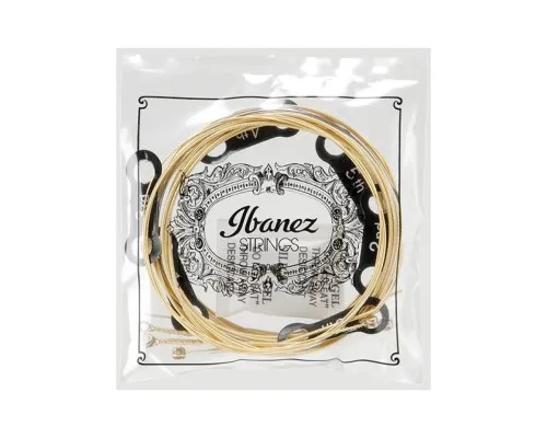 Струни для гітари Ibanez IACS6C Acoustic Guitar Strings 12-53 (301879)