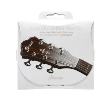 Струни для гітари Ibanez IACS6C Acoustic Guitar Strings 12-53 (301879)