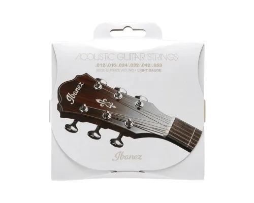 Струни для гітари Ibanez IACS6C Acoustic Guitar Strings 12-53 (301879)
