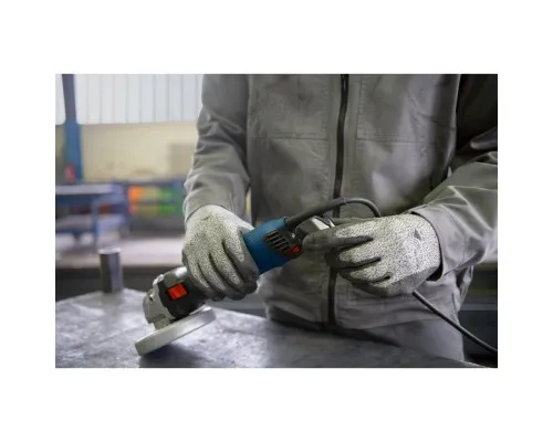 Шліфувальна машина Bosch GWS 17-125 S (0.601.7D0.300)