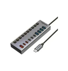Концентратор Promate USB-C 10-in-1 5xUSB-C + 5xUSB gray (gegahub-5g)