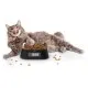 Універсальний посуд для тварин Pawbby Smart Pet Bowl (MG-ZN001-EU)