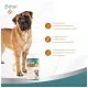 Вітаміни для собак 8in1 Excel Glucosamine + MSM для суглобів 55 шт (4048422184157)