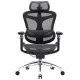 Офісне крісло Sihoo DORO C300 Pro Mesh Black (DORO-C300-PRO-M101)