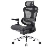 Офісне крісло Sihoo DORO C300 Pro Mesh Black (DORO-C300-PRO-M101)