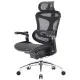 Офісне крісло Sihoo DORO C300 Pro Mesh Black (DORO-C300-PRO-M101)