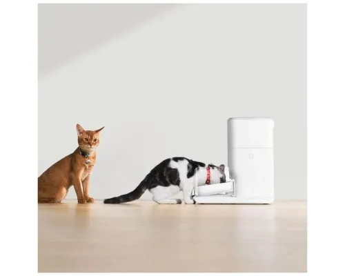 Універсальний посуд для тварин Catlink Automatic Feeder FRESH 2 Luxury (CL-FD-02)