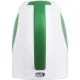Електрочайник Saturn ST-EK8437U White/Lt.Green
