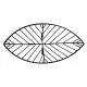 Фруктовниця Ringel Oder 38 х 15 см (RG-9007)
