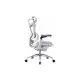 Офісне крісло Sihoo DORO C300 Pro Mesh White (DORO-C300-PRO-M102)