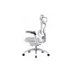 Офісне крісло Sihoo DORO C300 Pro Mesh White (DORO-C300-PRO-M102)