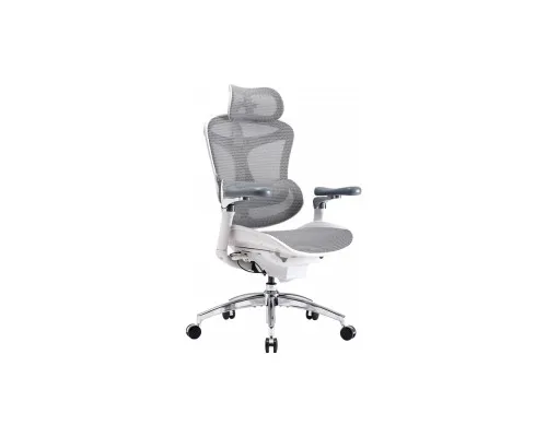 Офісне крісло Sihoo DORO C300 Pro Mesh White (DORO-C300-PRO-M102)