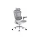 Офісне крісло Sihoo DORO C300 Pro Mesh White (DORO-C300-PRO-M102)