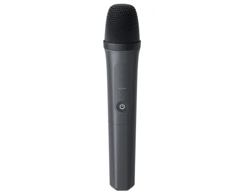 Акустична система Anker SoundСore Rave 3S Black (A31A3012)