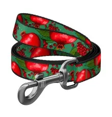 Повідець для собак WAUDOG Nylon "Гранати" M Ш 20 мм Д 300 см (761-4052)
