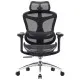 Офісне крісло Sihoo DORO C300L Mesh Black (DORO-C300L-A3-101)