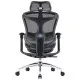 Офісне крісло Sihoo DORO C300L Mesh Black (DORO-C300L-A3-101)