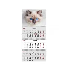 Календар Axent настінний квартальний 2027 р.,3 пр. Cats 2 (8803-27-8-A)