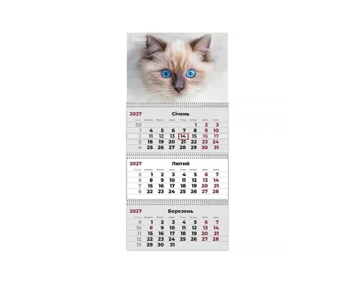 Календар Axent настінний квартальний 2027 р.,3 пр. Cats 2 (8803-27-8-A)