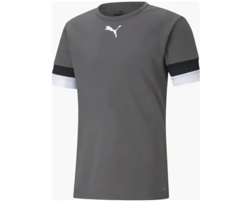 Футболка Puma teamRISE Jersey 704932-13 сірий M (4063699213287)