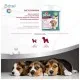 Вітаміни для собак 8in1 Excel Multi Vitamin Puppy мультивітамін 100 шт (4048422183846)