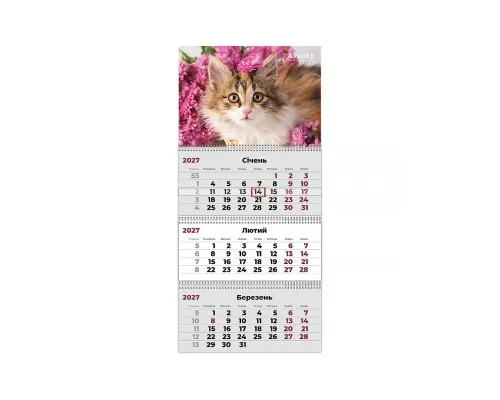 Календар Axent настінний квартальний 2027 р.,3 пр. Cats 3 (8803-27-9-A)