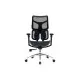 Офісне крісло Sihoo DORO S100 Mesh Black (S100-M301)