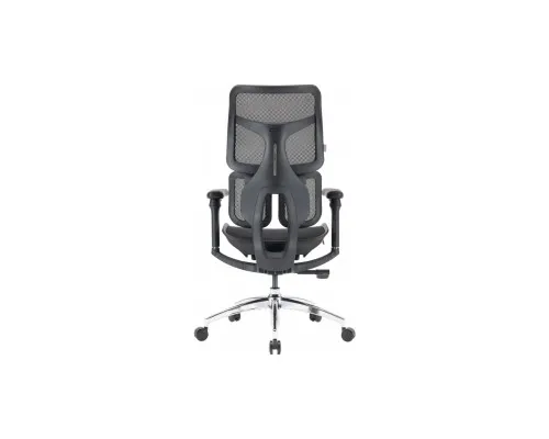 Офісне крісло Sihoo DORO S100 Mesh Black (S100-M301)