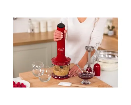 Блендер Russell Hobbs Desire (24700-56)