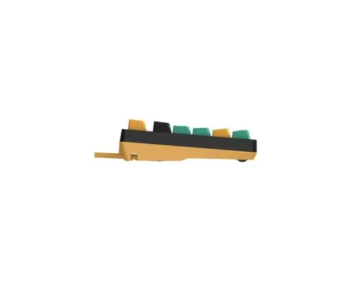 Клавіатура A4Tech Bloody AT87 USB Renegade (4711421000734)