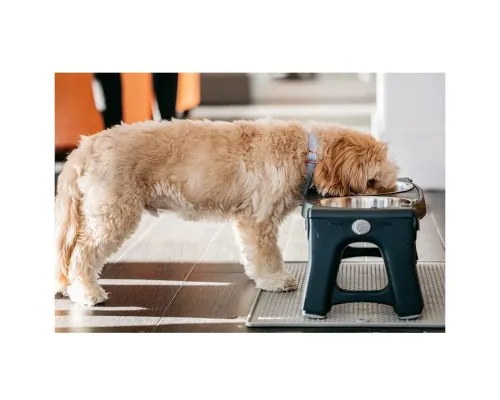 Килимок під миски Dexas Pet Bowl Grippmat Large антиковзкий 43х57 см світло-сірий (0084297308858)