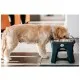 Килимок під миски Dexas Pet Bowl Grippmat Large антиковзкий 43х57 см світло-сірий (0084297308858)