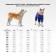 Вітровка для тварин WAUDOG Clothes Леопард S 32 (389-4066)