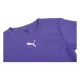 Футболка Puma teamRISE Jersey 704932-10 фіолетовий M (4063699211566)