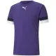 Футболка Puma teamRISE Jersey 704932-10 фіолетовий M (4063699211566)