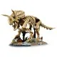 Конструктор LEGO Jurassic Park Скам'янілості динозаврів: Трицератопс (77985)