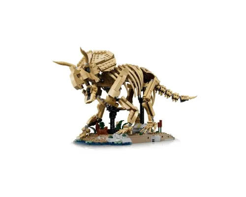 Конструктор LEGO Jurassic Park Скам'янілості динозаврів: Трицератопс (77985)