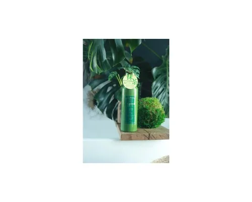 Ополіскувач для порожнини рота Propolinse Matcha 600 мл (4966680247103)