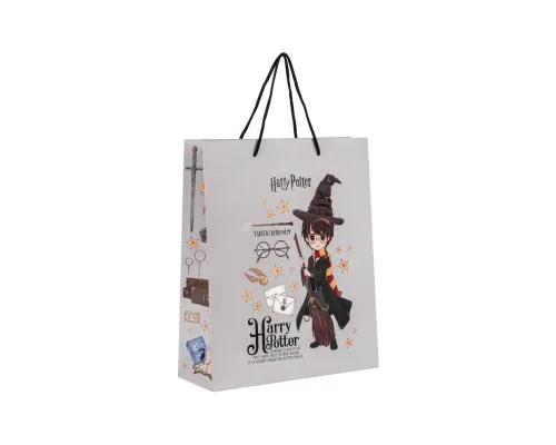 Подарунковий пакет Kite Harry Potter 26 х 32 см (HP26-266)