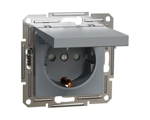 Розетка Schneider Electric ASFORA з кришкою, сталь (EPH3100162)
