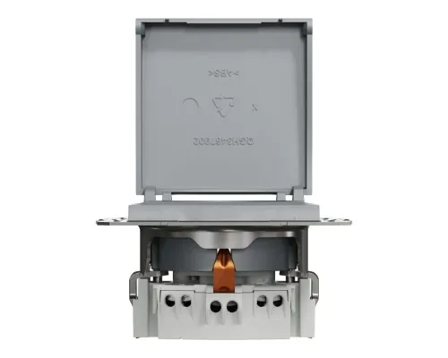 Розетка Schneider Electric ASFORA з кришкою, сталь (EPH3100162)