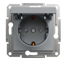 Розетка Schneider Electric ASFORA з кришкою, сталь (EPH3100162)