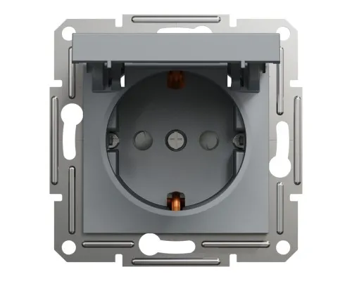 Розетка Schneider Electric ASFORA з кришкою, сталь (EPH3100162)