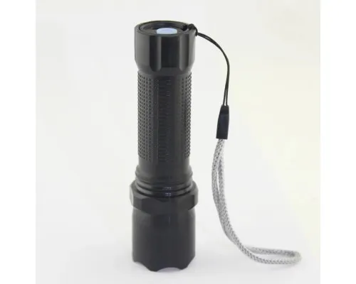 Ліхтар Quantum QM-FL1042 Minik 3W LED з USB Black-Gold, 2 шт./уп. (QM-FL1042)