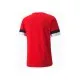 Футболка Puma teamRISE Jersey 704932-01 червоний XL (4063699212112)