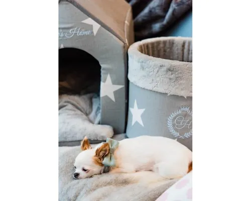 Нашийник для тварин Chloe's Home Bahamas рожевий S (CLH2155)