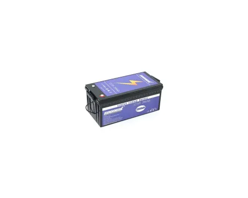 Батарея LiFePo4 Voltronic SOONEST 12,8V 200Ah, (50/100A) (SOONEST-12200)